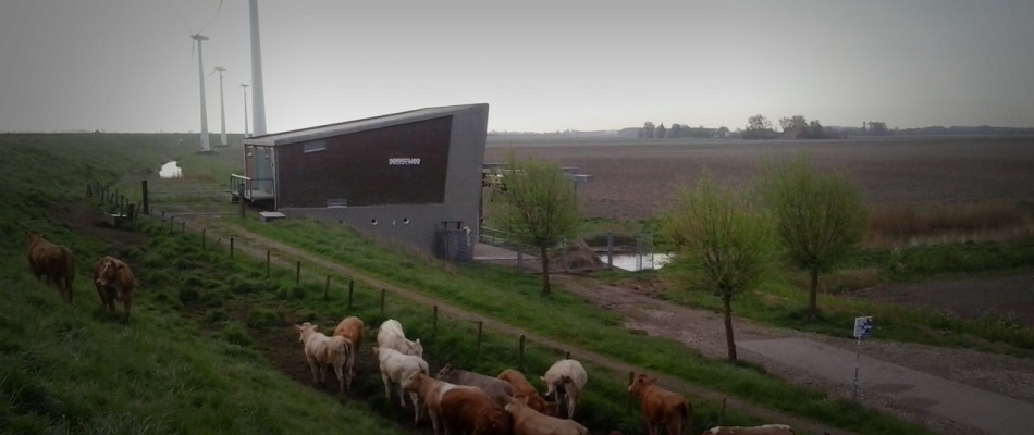 Dreischor levee © L. Maring