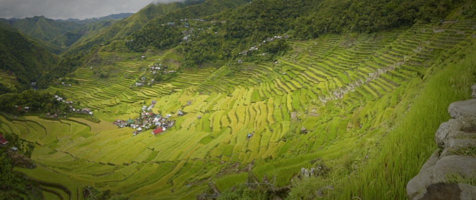 © UFZ/ André Künzelmann